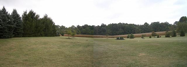 Panorama of the back yard