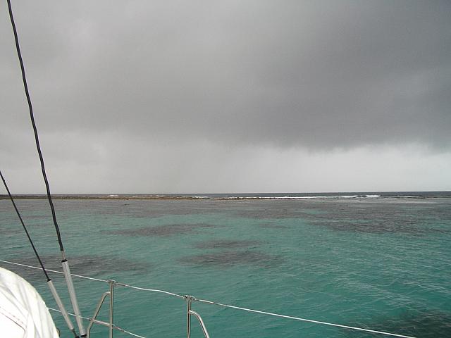 Cool reef - the weather was crummy but the snorkeling was excellent.