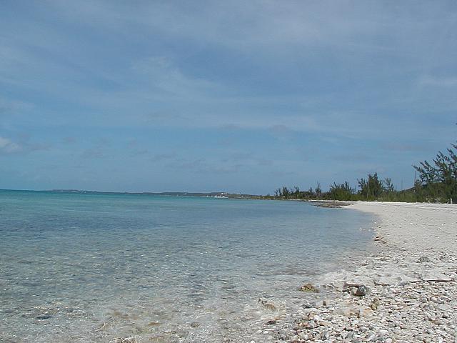 The beach at cocodimama.. 