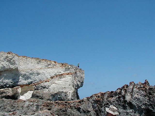 Hey Nik.. How'd you get up there?