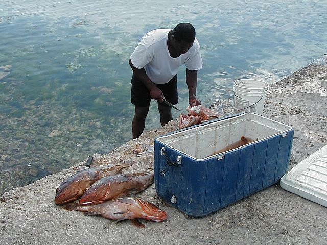 The fish dude cleans our fish...