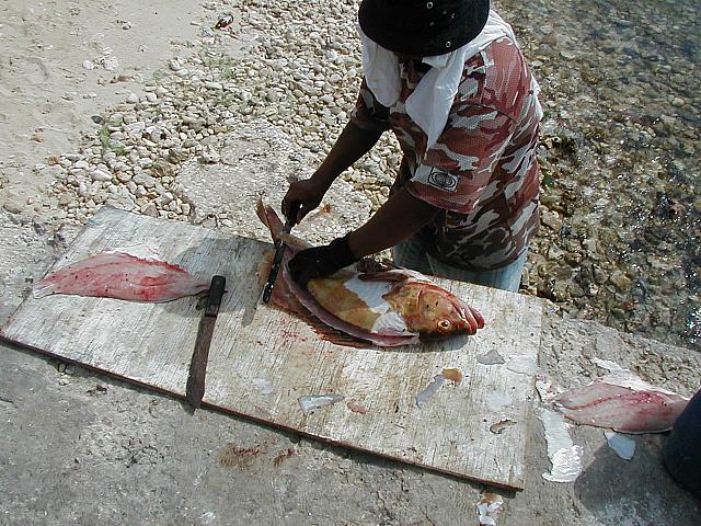 He caught our wad of cash, and we caught the bag of fish...