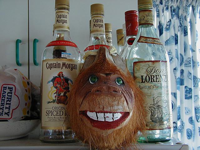 Wherever there was rum, Bob the monkey head was never far away.