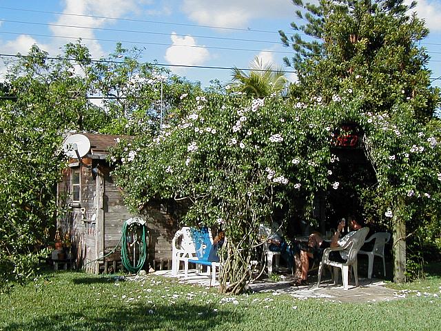 Behind the facade of the peaceful and innocent looking park lies our true destination, The Shed!