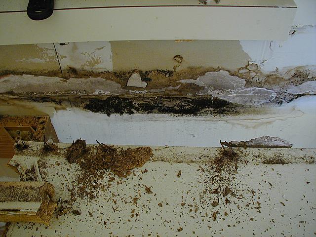 Nasty drywall behind the sink.