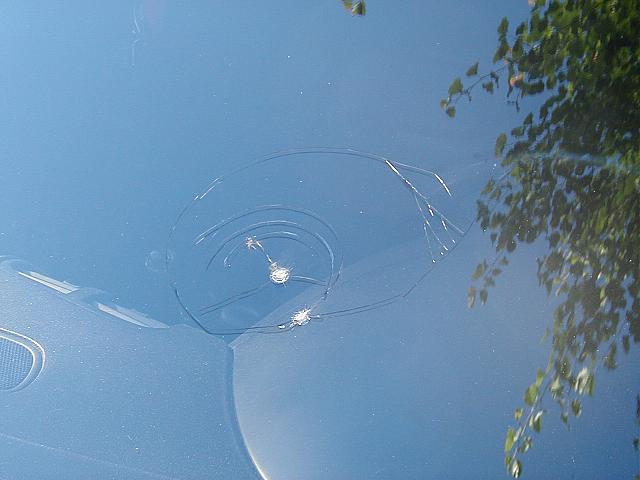 Damage from a big-ass rock on the beltway.  At least it didn't hit the roof.