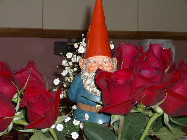 Wilf the gnome