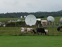 The earth station is in the middle of a small farm.