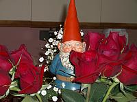 Wilf the gnome