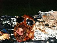 Pig Roast