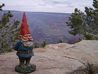 Wilf meets the grand canyon.